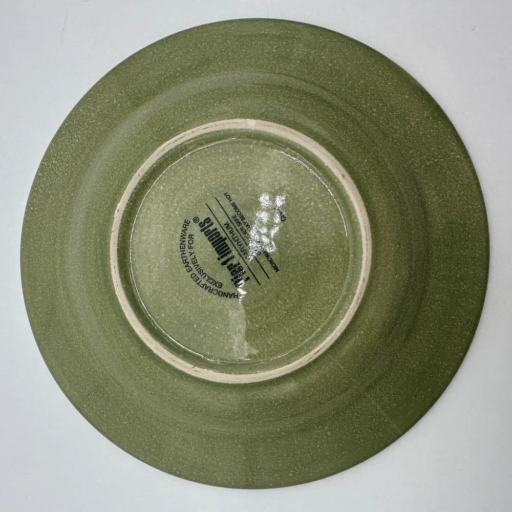 2 Pier 1 Imports Carynthum Salad Plates Handcrafted Earthenware Floral 8.2